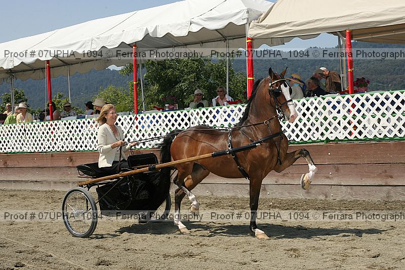 Proof Number 07upha_1094