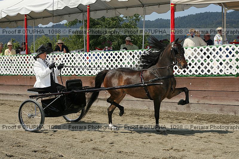 Proof Number 07upha_1098