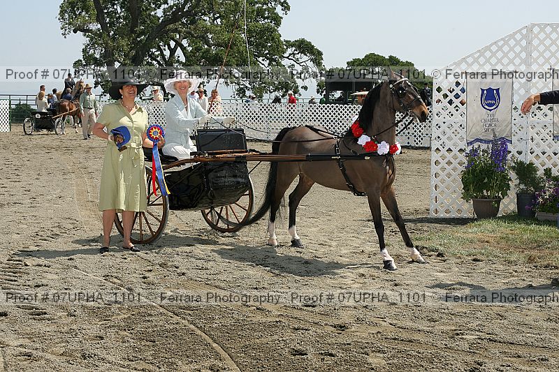 Proof Number 07upha_1101