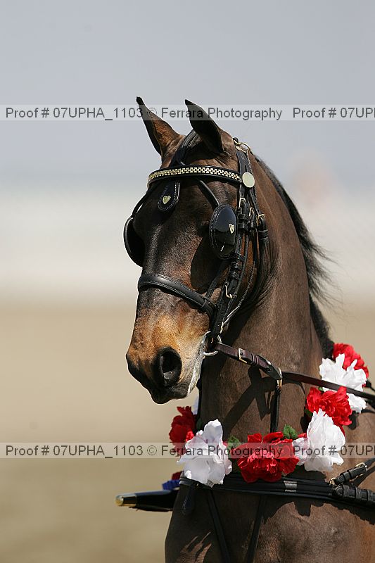 Proof Number 07upha_1103