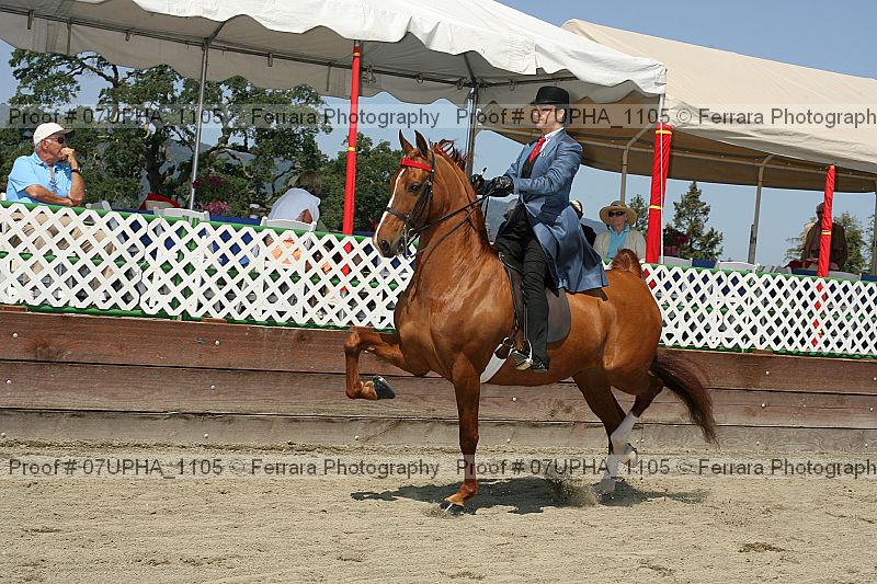 Proof Number 07upha_1105