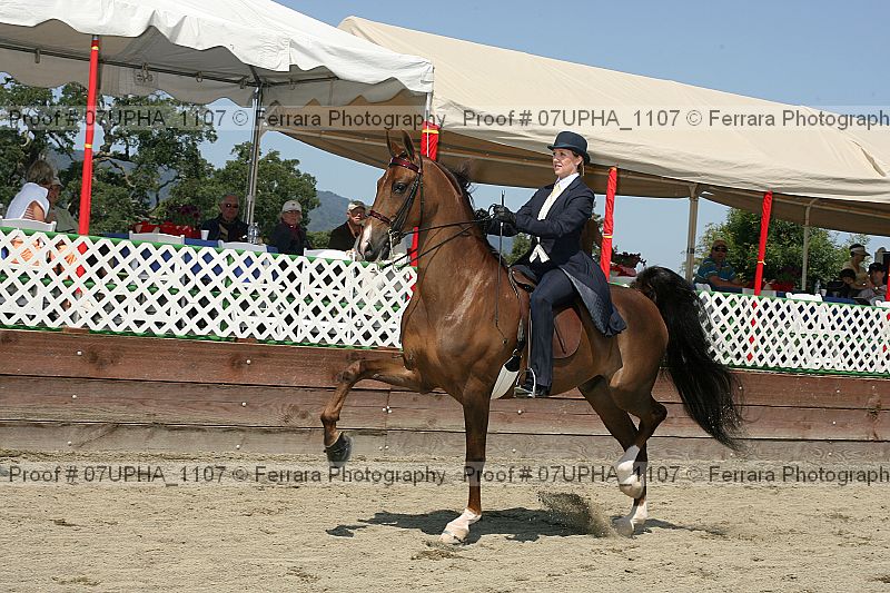 Proof Number 07upha_1107