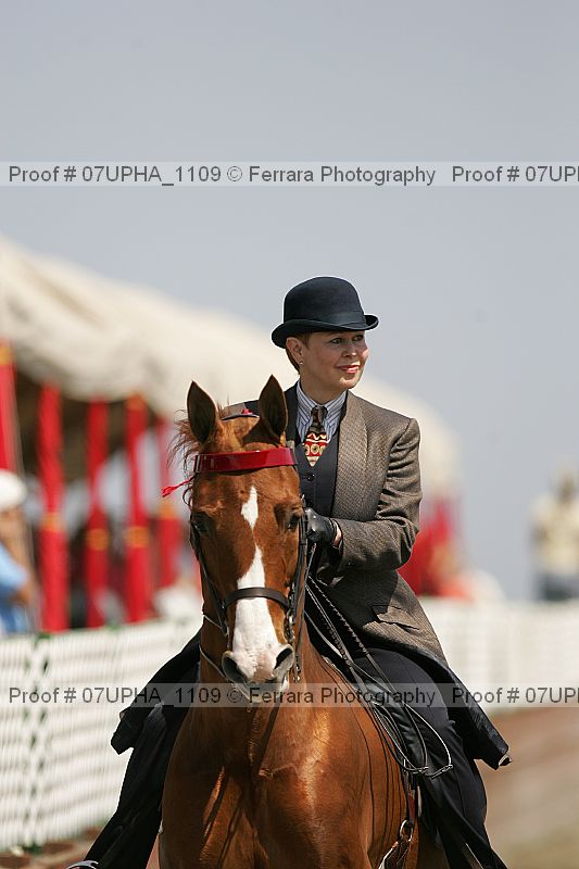 Proof Number 07upha_1109