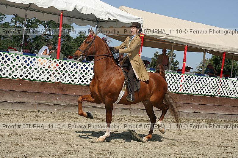 Proof Number 07upha_1110