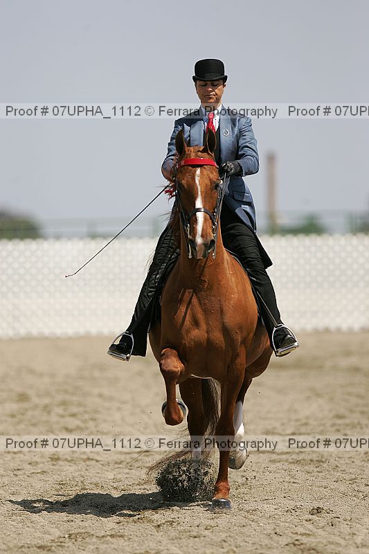 Proof Number 07upha_1112