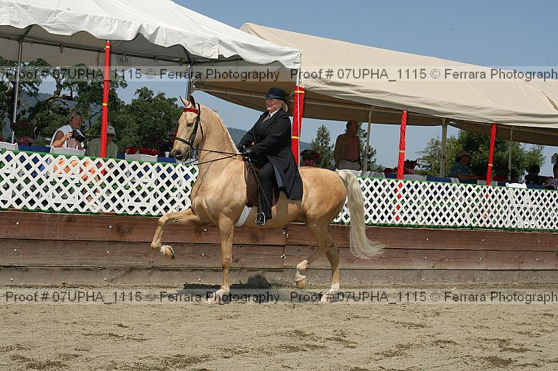 Proof Number 07upha_1115