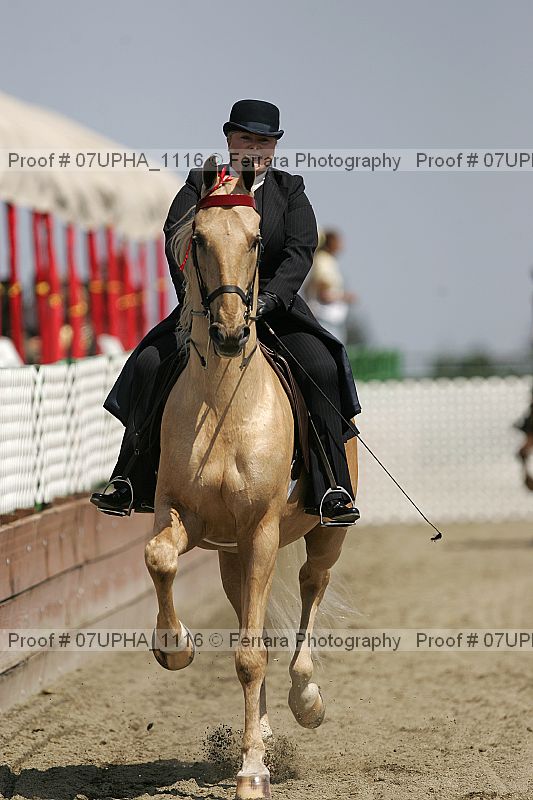Proof Number 07upha_1116