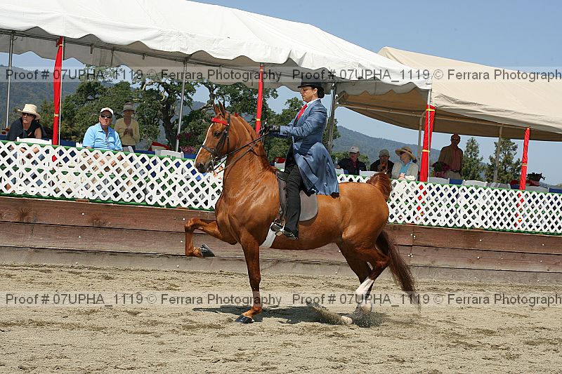 Proof Number 07upha_1119