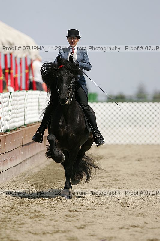Proof Number 07upha_1128