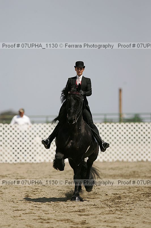 Proof Number 07upha_1130