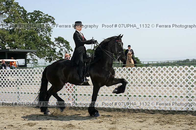 Proof Number 07upha_1132
