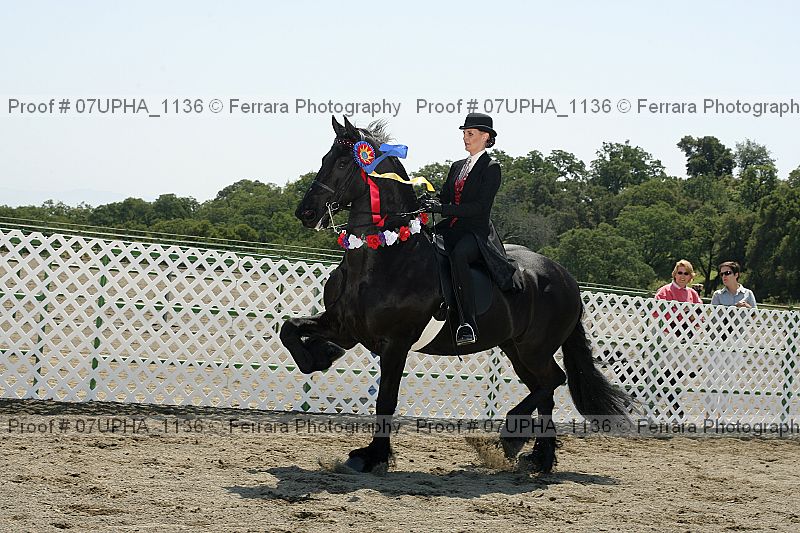 Proof Number 07upha_1136