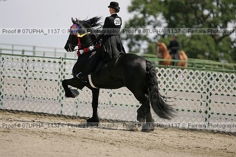Proof Number 07upha_1137