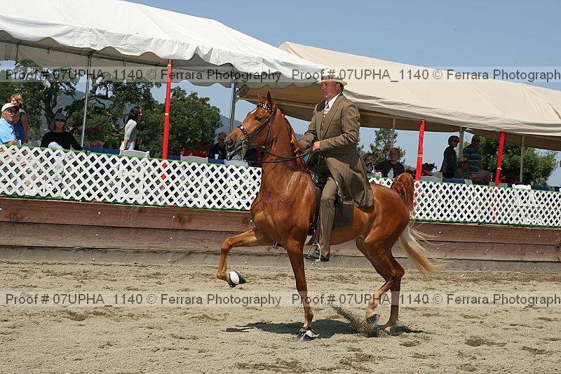 Proof Number 07upha_1140