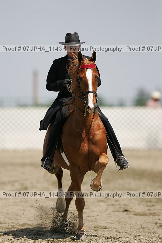 Proof Number 07upha_1143