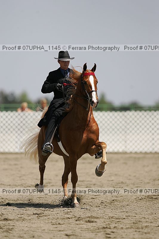 Proof Number 07upha_1145