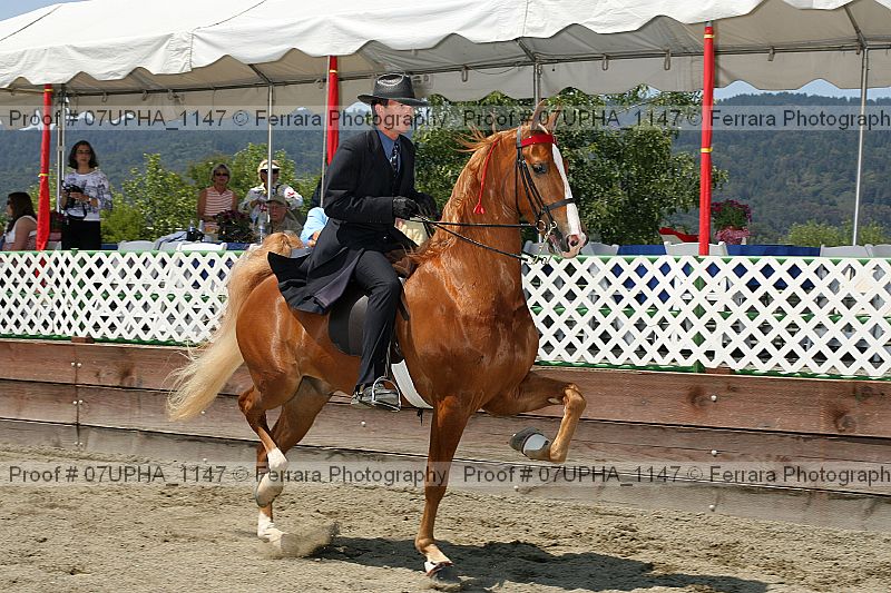 Proof Number 07upha_1147