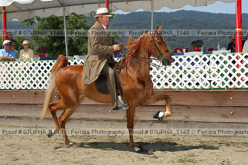 Proof Number 07upha_1148