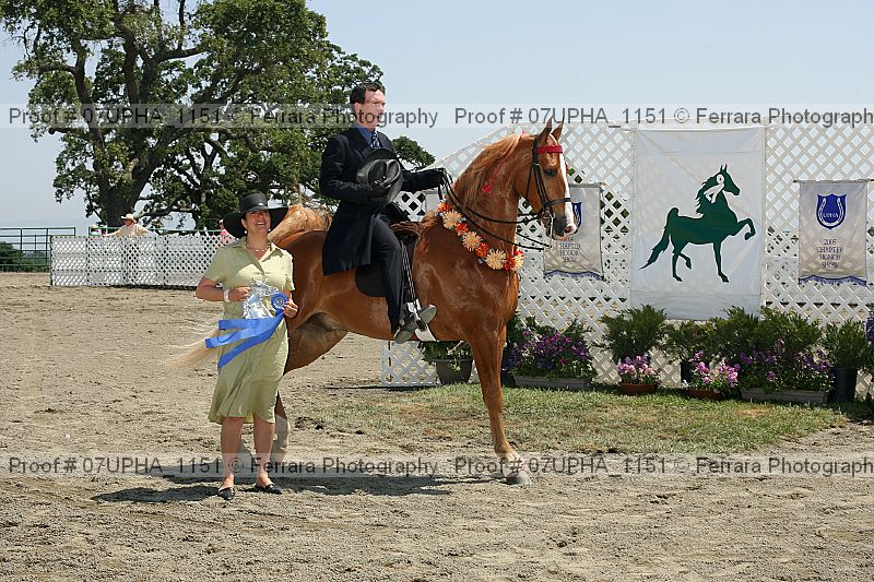 Proof Number 07upha_1151