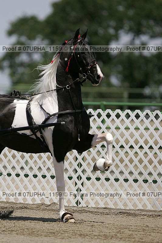 Proof Number 07upha_1159