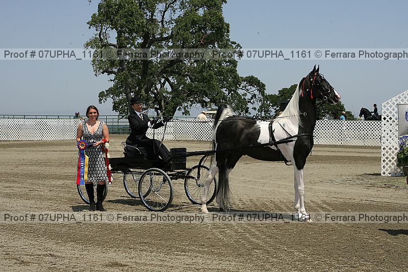 Proof Number 07upha_1161