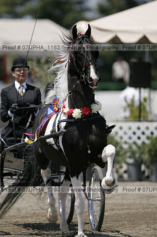Proof Number 07upha_1163