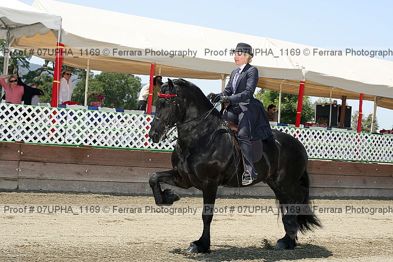 Proof Number 07upha_1169