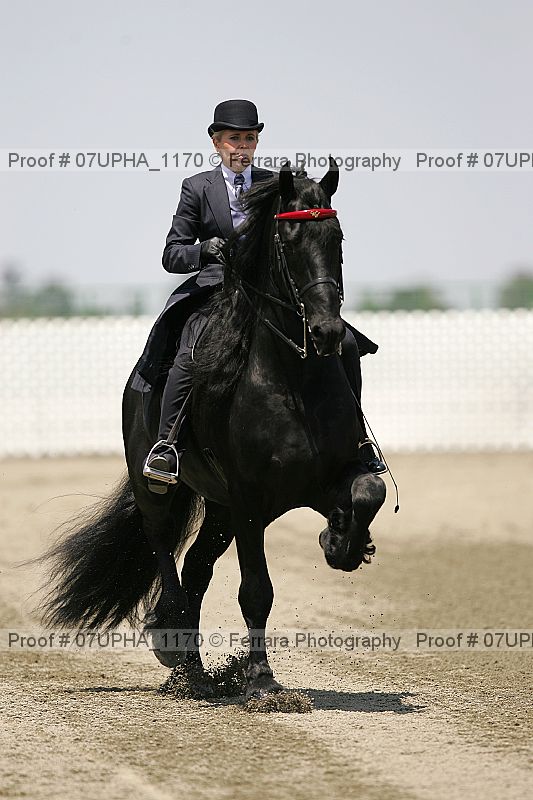 Proof Number 07upha_1170