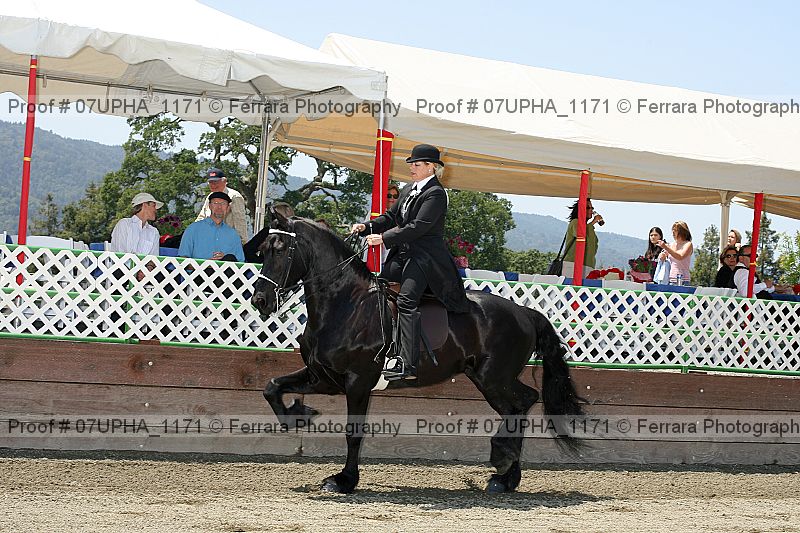 Proof Number 07upha_1171