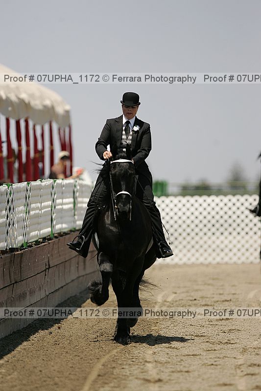 Proof Number 07upha_1172