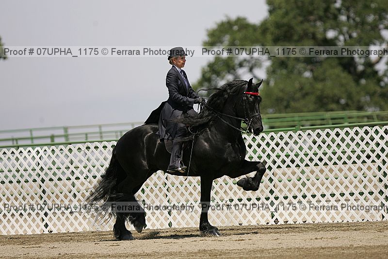Proof Number 07upha_1175