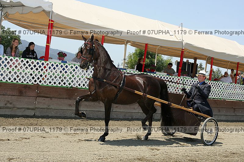 Proof Number 07upha_1179