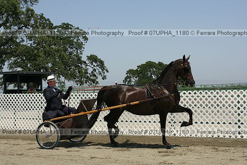 Proof Number 07upha_1180
