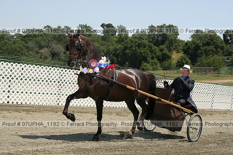 Proof Number 07upha_1182