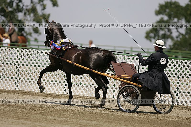 Proof Number 07upha_1183