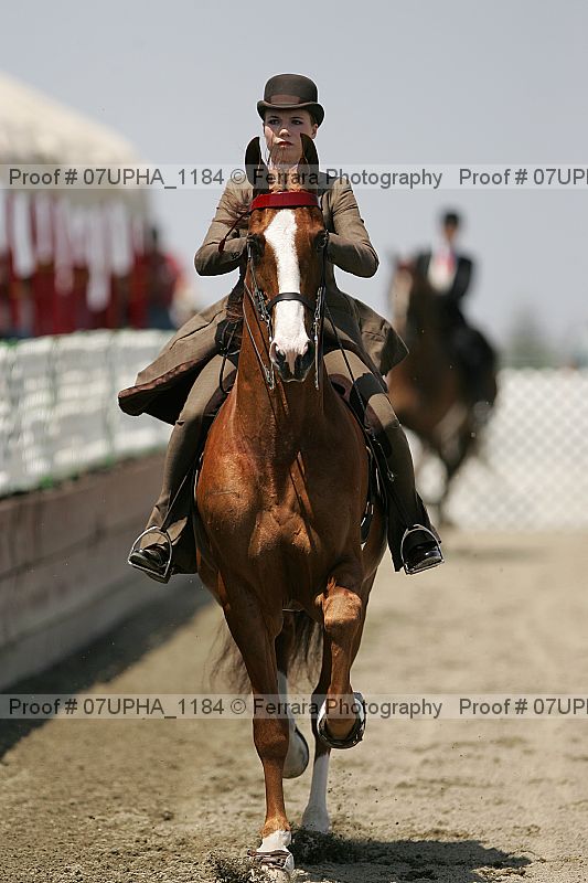 Proof Number 07upha_1184