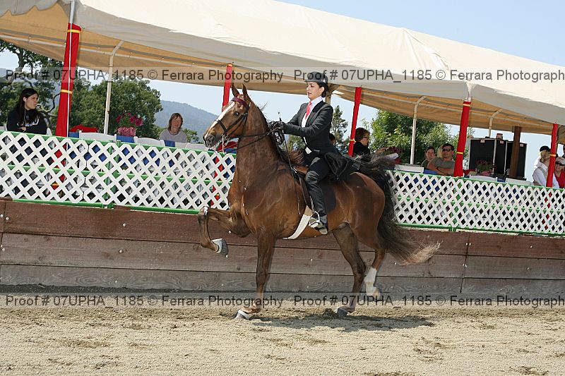 Proof Number 07upha_1185