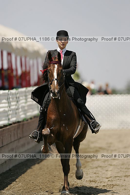 Proof Number 07upha_1186