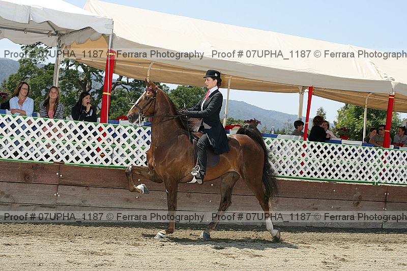 Proof Number 07upha_1187