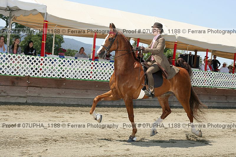 Proof Number 07upha_1188