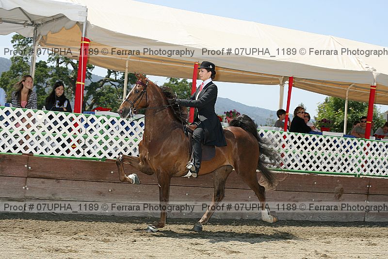 Proof Number 07upha_1189
