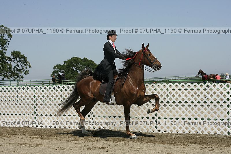 Proof Number 07upha_1190