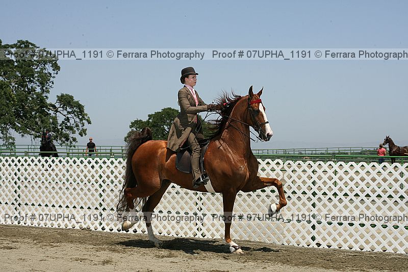 Proof Number 07upha_1191
