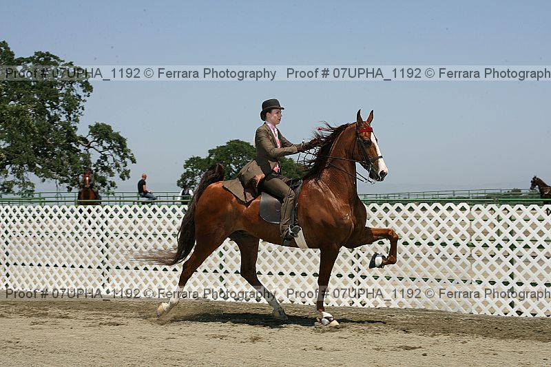 Proof Number 07upha_1192