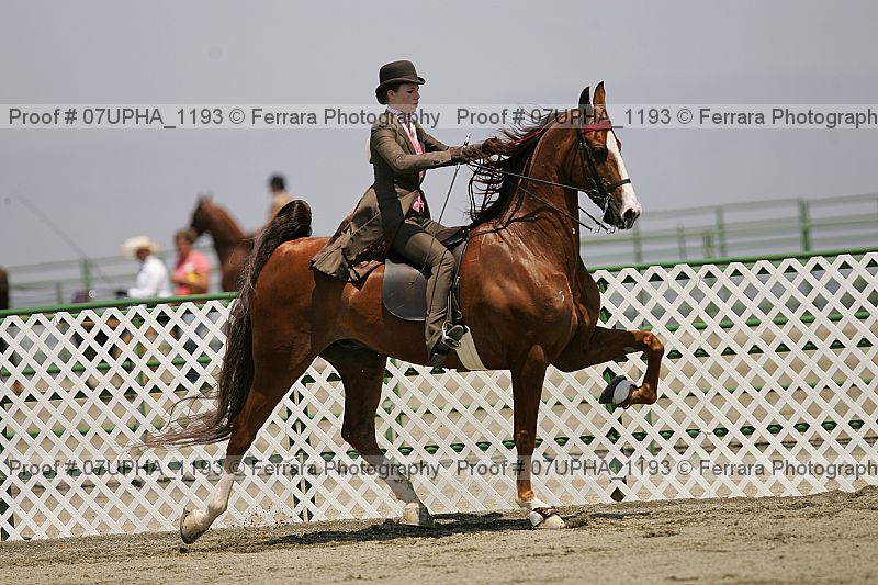 Proof Number 07upha_1193