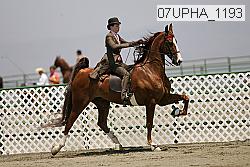 07upha_1193 thumbnail