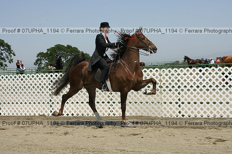 Proof Number 07upha_1194