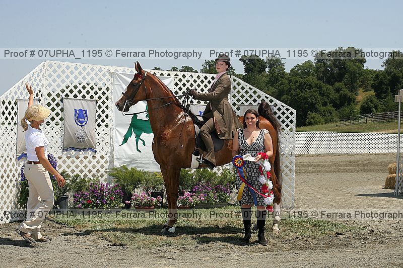 Proof Number 07upha_1195