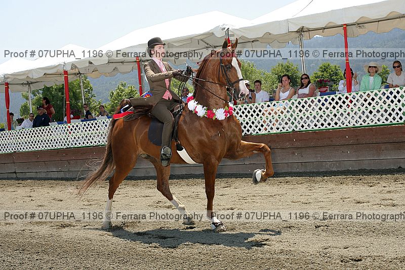 Proof Number 07upha_1196