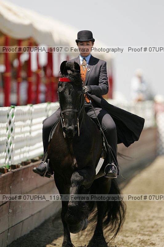 Proof Number 07upha_1197